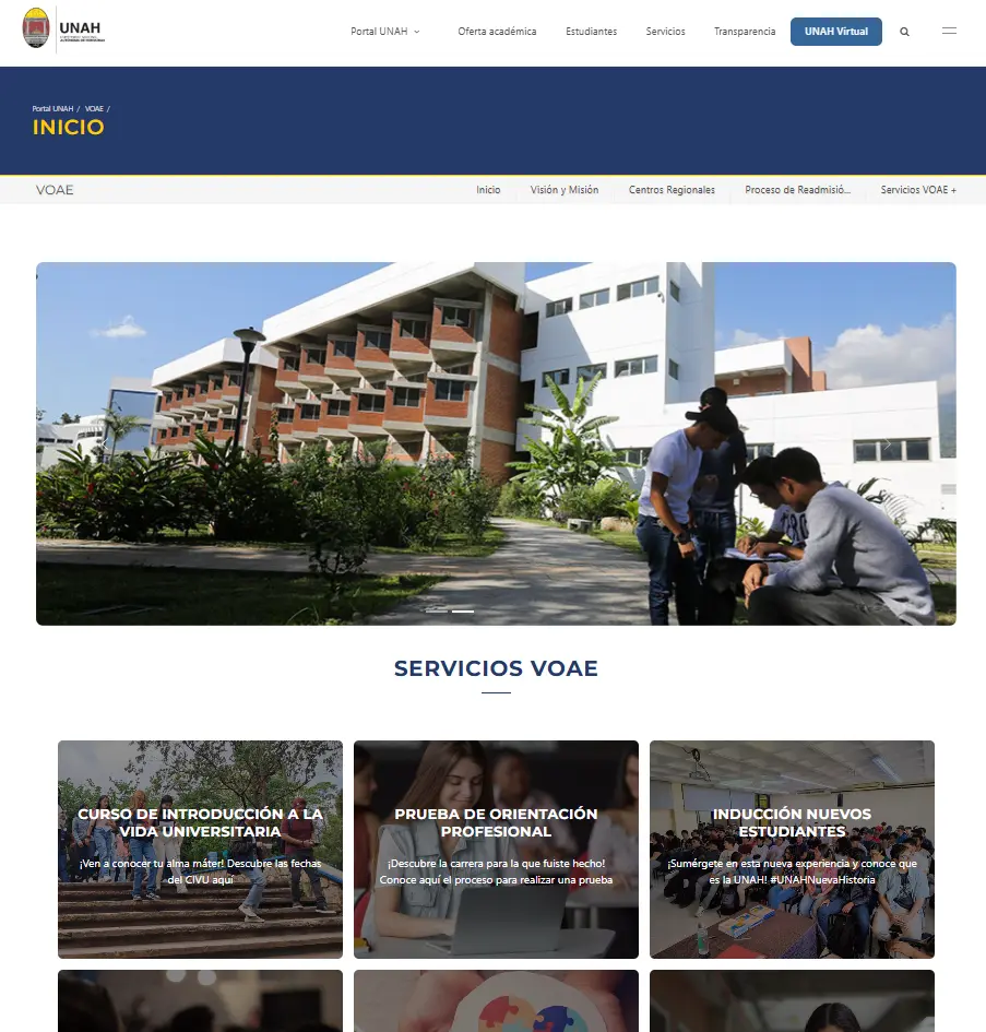 Sitio Web VOAE